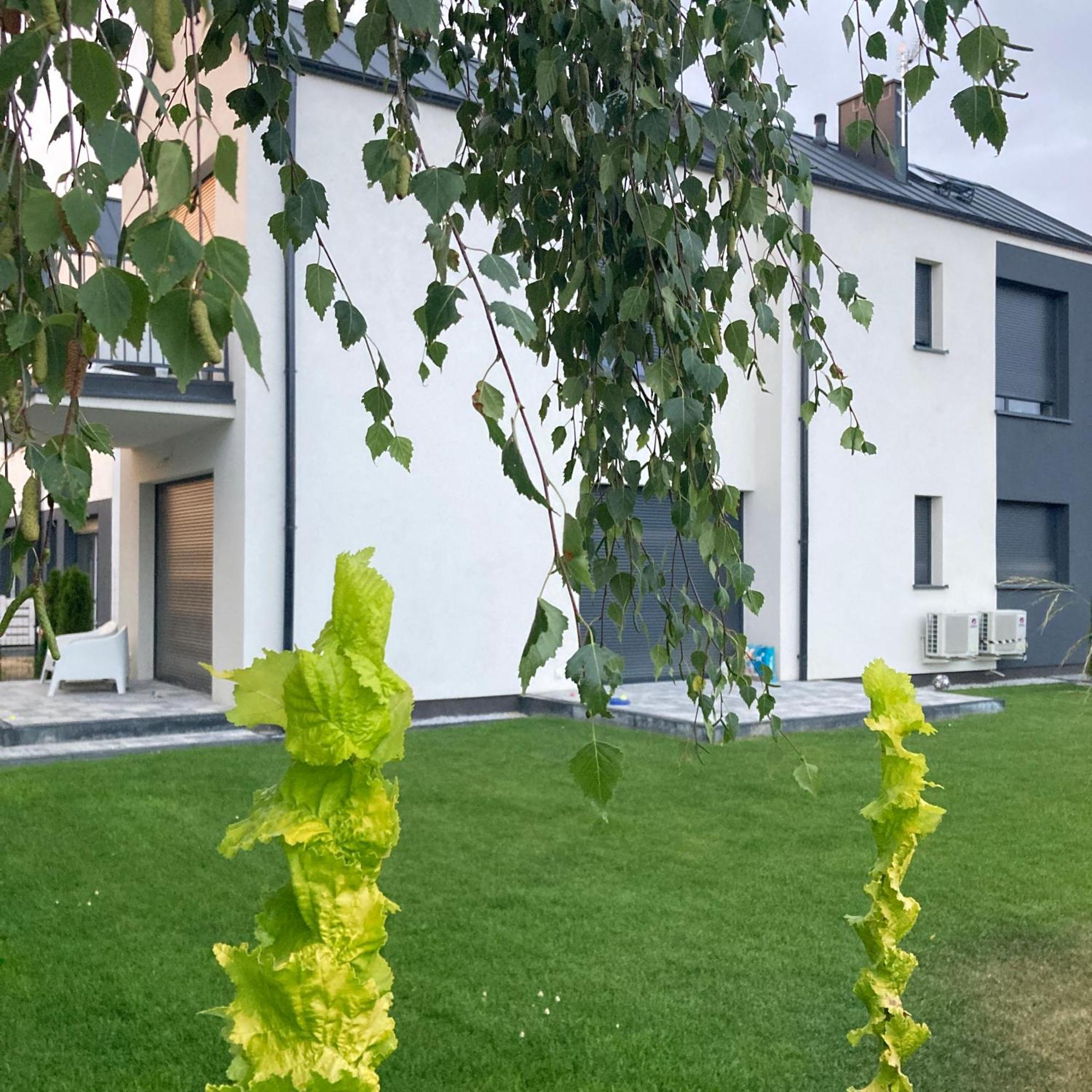 Stylowe Apartamenty Plewiska المظهر الخارجي الصورة