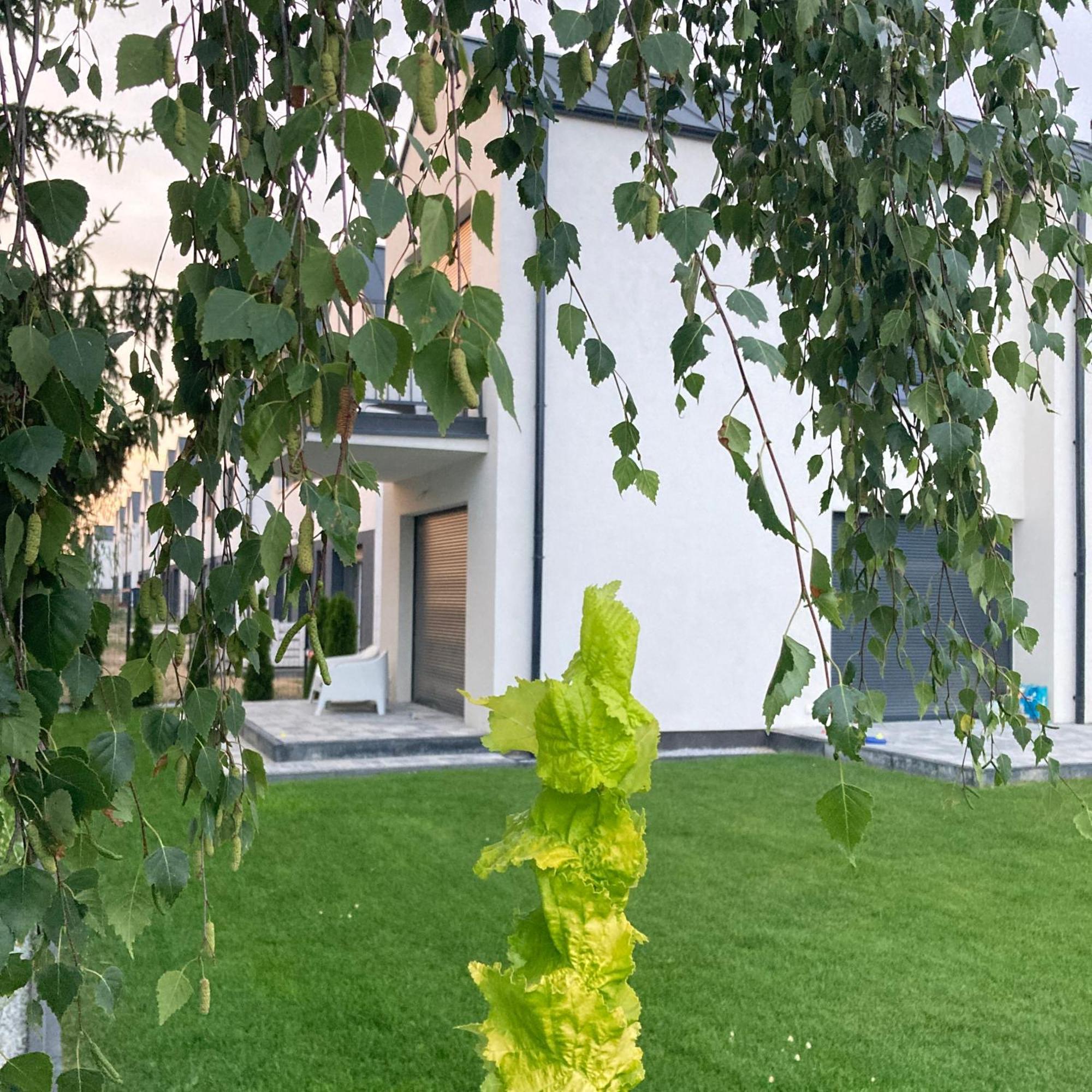 Stylowe Apartamenty Plewiska المظهر الخارجي الصورة